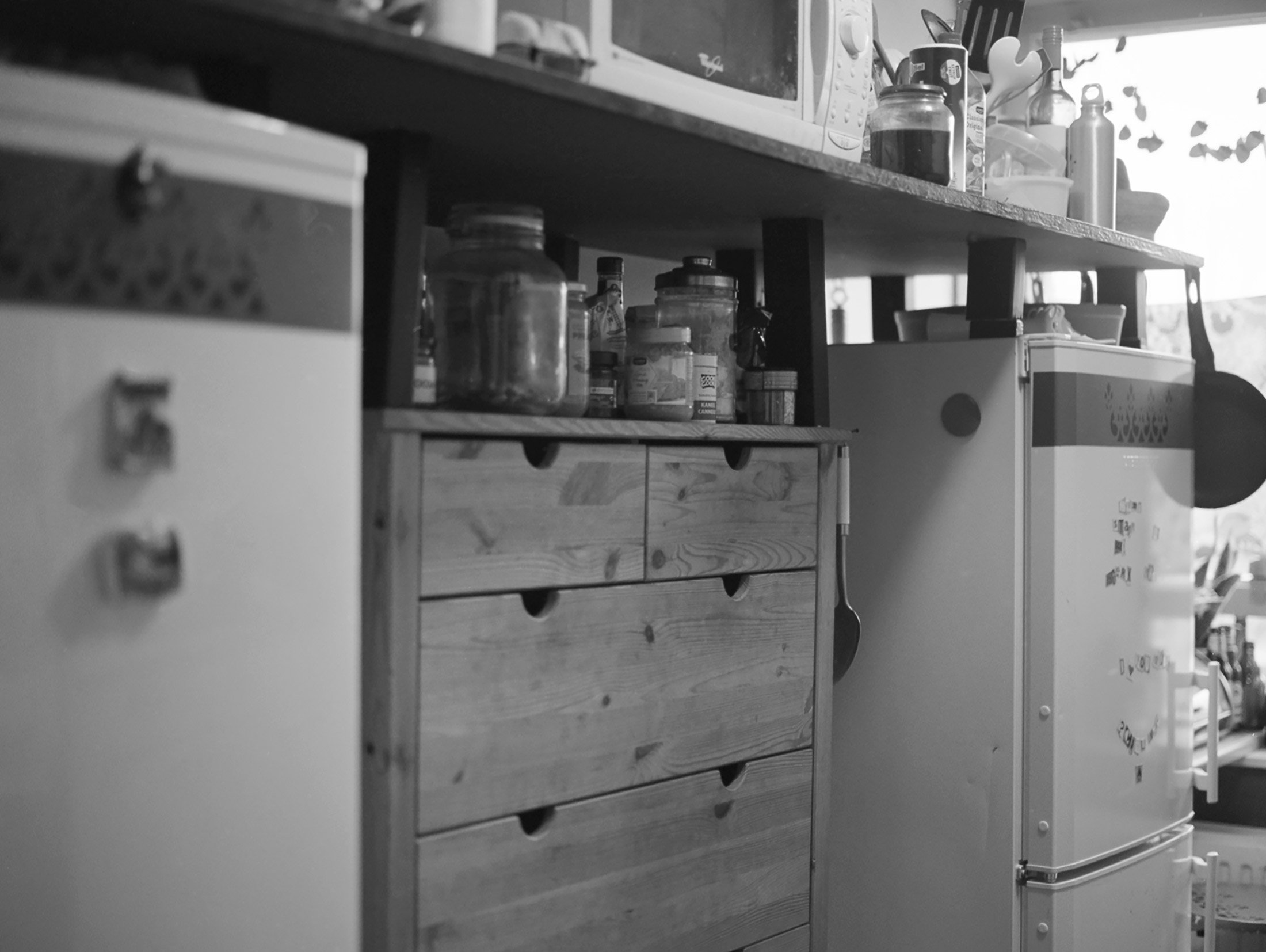 De twee koelkasten in de gedeelde keuken / The two fridges in the shared kitchen
